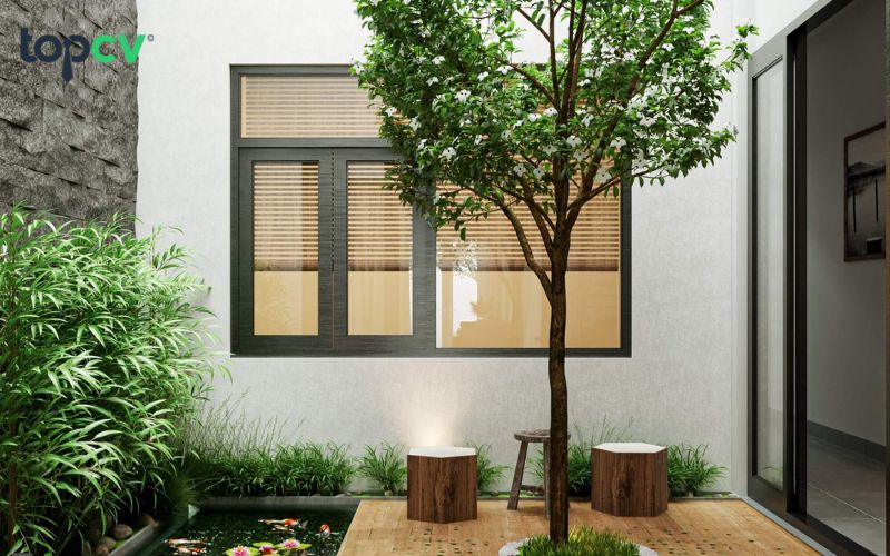 Nên lựa chọn loại cây phù hợp nếu bạn muốn phủ xanh căn nhà của mình