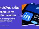 Cách up CV lên LinkedIn ra sao hiện đang thu hút sự quan quan tâm từ nhiều người
